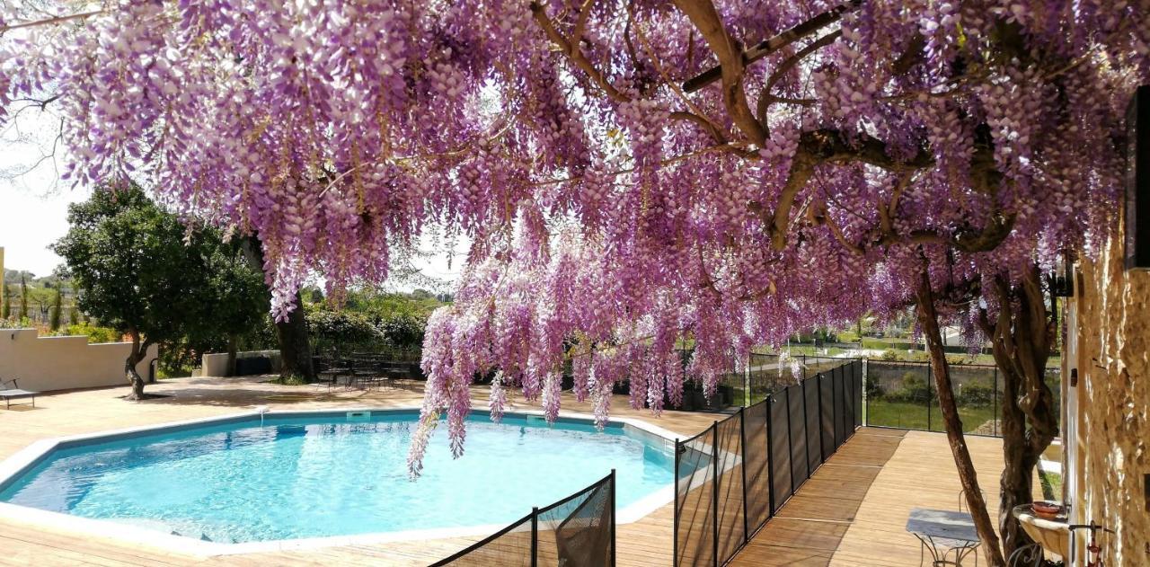 Chateau Montplaisir Charming B&B In Provence Valréas 外观 照片